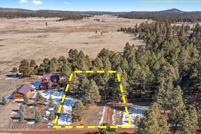 24 County Road 2065, Alpine, AZ 85920