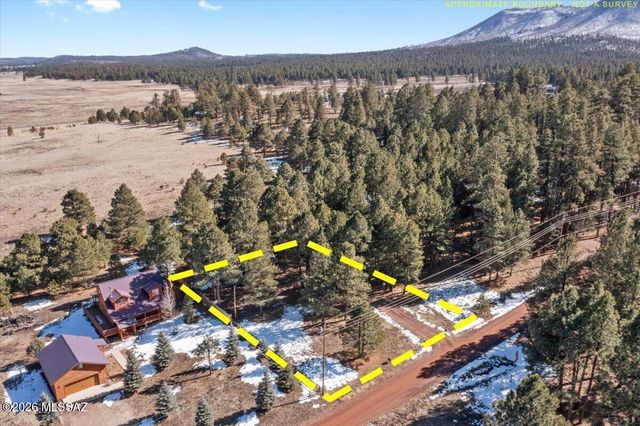 24 County Road 2065, Alpine, AZ 85920