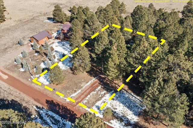 24 County Road 2065, Alpine, AZ 85920