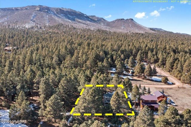 24 County Road 2065, Alpine, AZ 85920