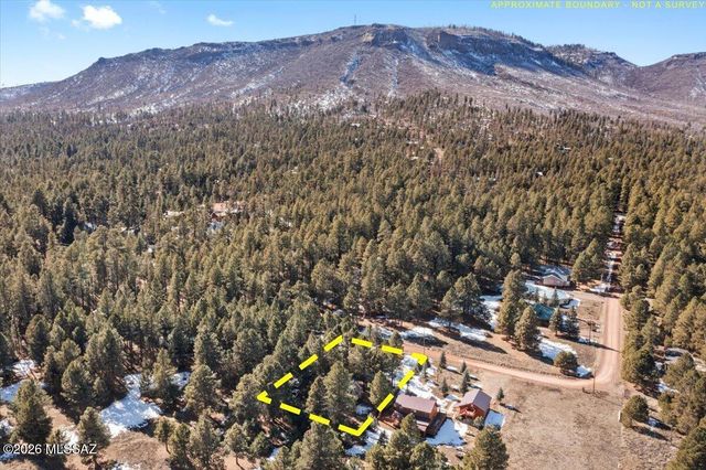 24 County Road 2065, Alpine, AZ 85920