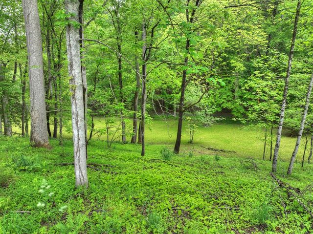 13389 Old Hwy 76, Morganton, GA 30560