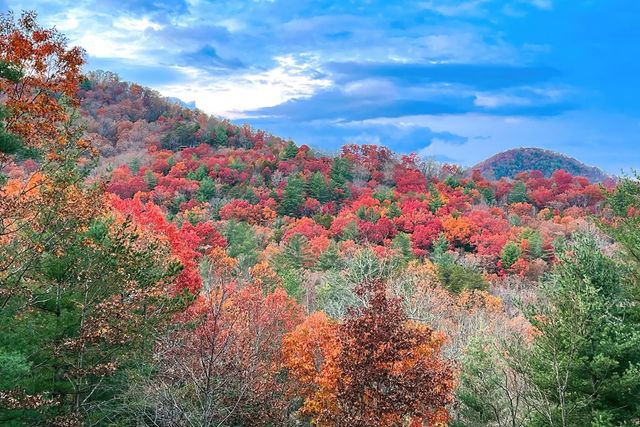 204 Fortenberry Creek Road, Blairsville, GA 30512