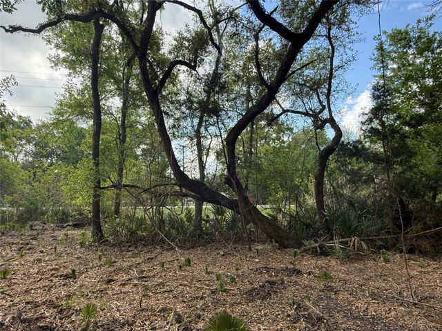 2 Cr 289, Sweeny, TX 77480