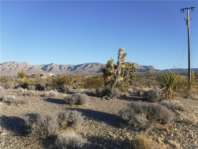 28250 N Mullane Drive, Meadview, AZ 86444