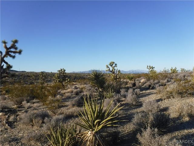 28250 N Mullane Drive, Meadview, AZ 86444