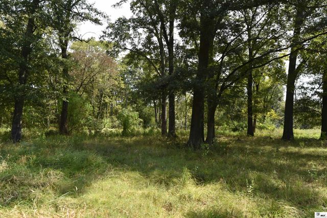 0 TONY ROAD, Sterlington, LA 71280