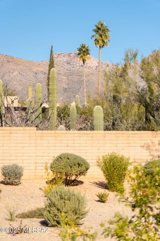 5671 N Placita Stilbayo, Tucson, AZ 85718