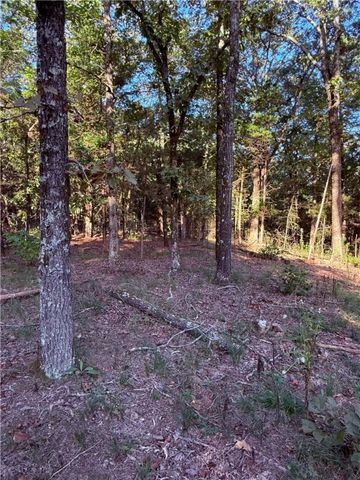 30 Ashdown Lane, Dover, AR 72837