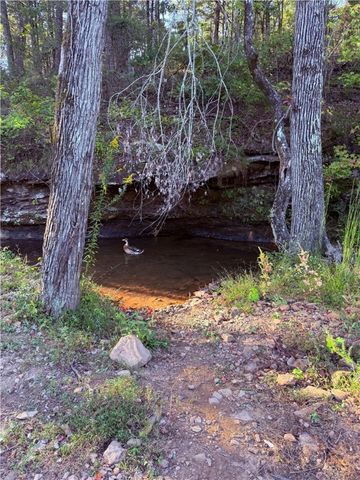 30 Ashdown Lane, Dover, AR 72837