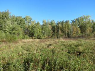 0000 Harmony Lane, Beekmantown, NY 12901