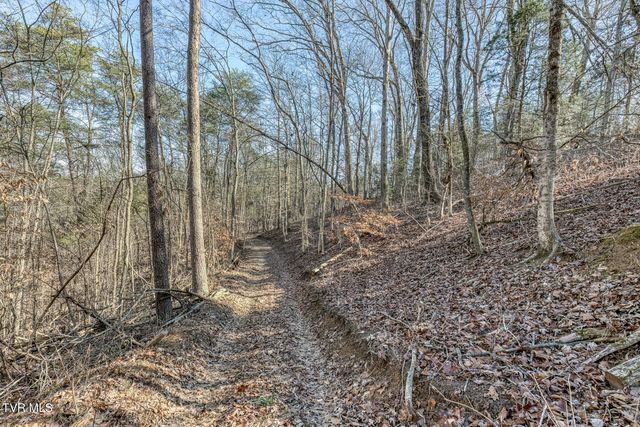 195 North Fork Branch Road, Rogersville, TN 37857