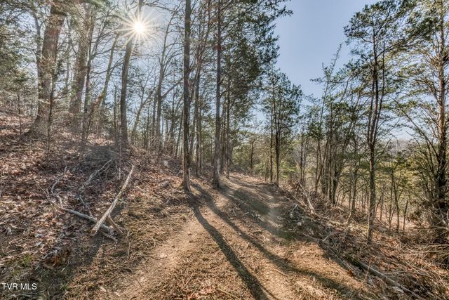 195 North Fork Branch Road, Rogersville, TN 37857