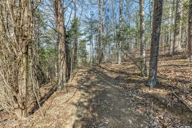 195 North Fork Branch Road, Rogersville, TN 37857