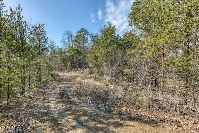 195 North Fork Branch Road, Rogersville, TN 37857