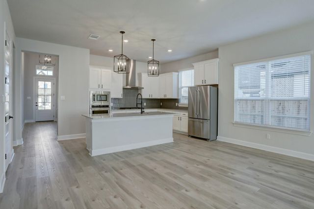 17229 Autumn Falls LN, Manor, TX 78653