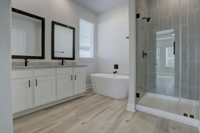 17229 Autumn Falls LN, Manor, TX 78653