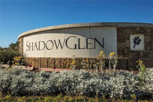 17229 Autumn Falls LN, Manor, TX 78653
