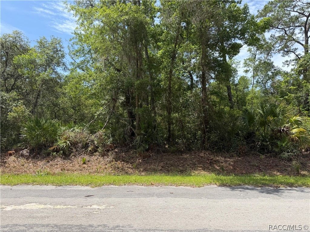 12064 W Deodar Street, Crystal River, FL 34428