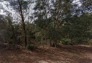917 DAVID AVENUE, Interlachen, FL 32148