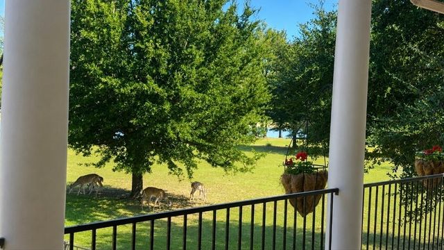1225 Driftwood Ranch Trail, Weatherford, TX 76087