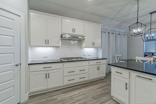 14302 Gold Rush Pass, San Antonio, TX 78254