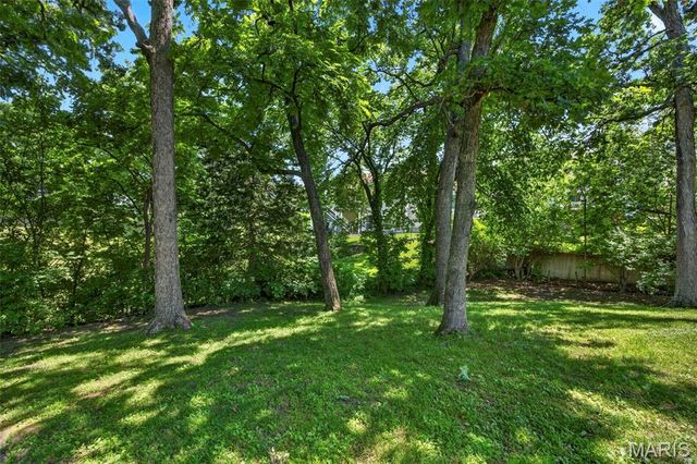 41 Spring Wood Drive, St Peters, MO 63376