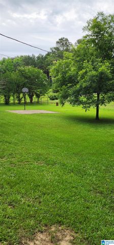161 HIGHWAY 33, Oneonta, AL 35121