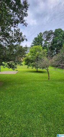 161 HIGHWAY 33, Oneonta, AL 35121