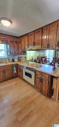 161 HIGHWAY 33, Oneonta, AL 35121