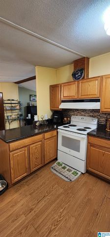 161 HIGHWAY 33, Oneonta, AL 35121