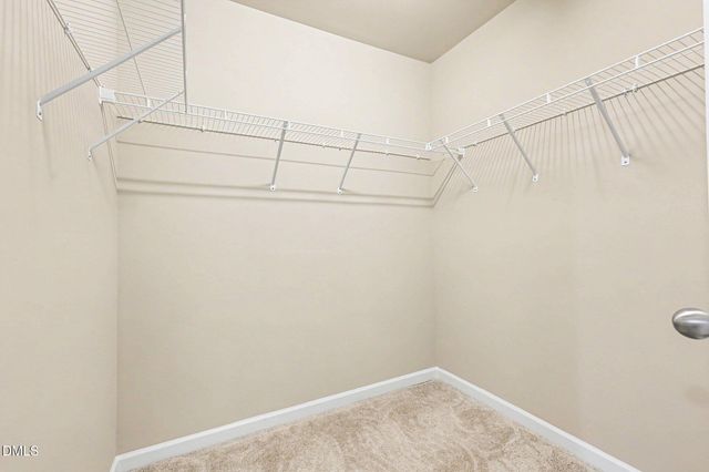 1442 Montonia Street, Wake Forest, NC 27587