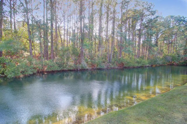 3061 Monhegan Way, Mount Pleasant, SC 29466