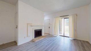 7031 N Holiday Drive, Galveston, TX 77550
