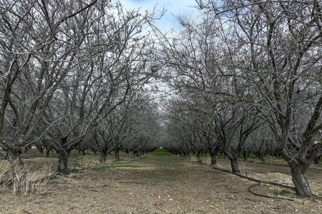 I- 5, Cantua Creek, CA 93608
