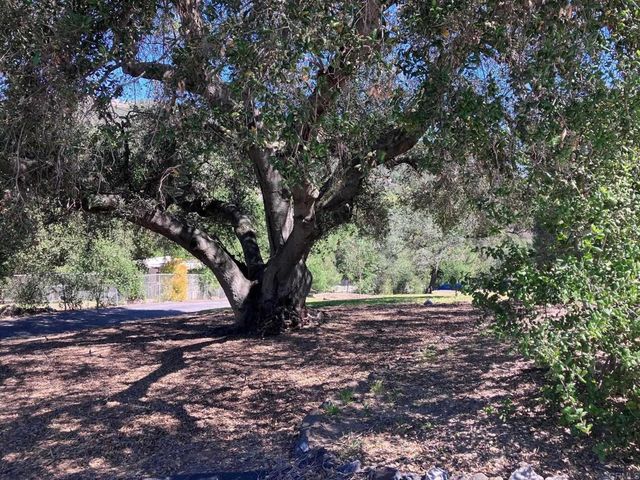 14765 Woods Valley Road, Valley Center, CA 92082