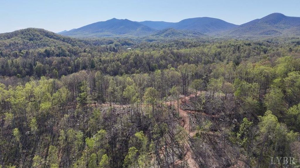 11798 Lee Jackson Highway, Big Island, VA 24526