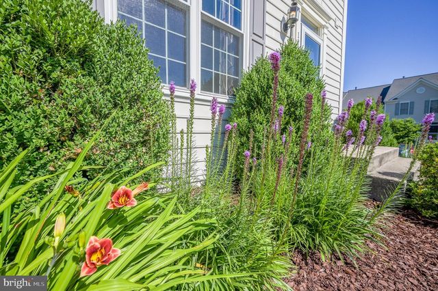 11582 TOLSON PL, Woodbridge, VA 22192