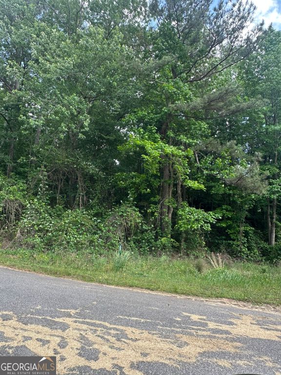0 Ada Street, Royston, GA 30662 — photo 4