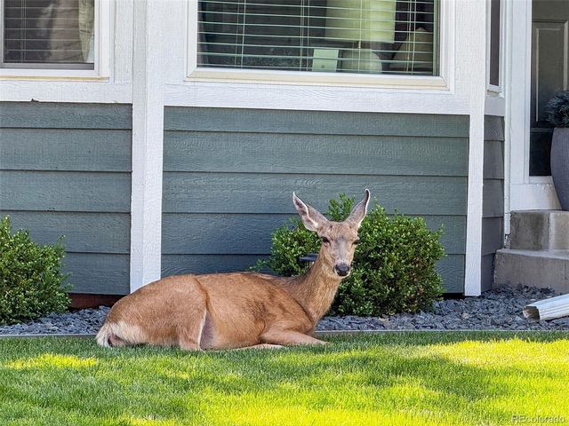 22 Manzanita, Littleton, CO 80127