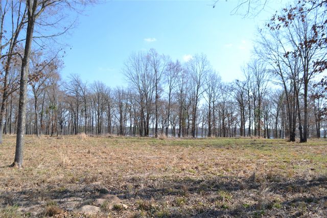 Lot 13 Angler Shores Drive, Yantis, TX 75497