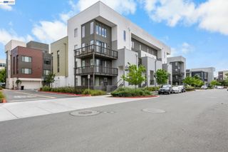 45139 Challenge Cmn 1001, Fremont, CA 94538