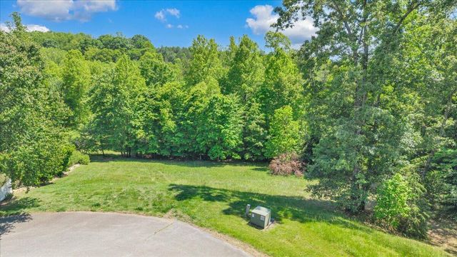 Lot 13 Independence LN, Wirtz, VA 24184