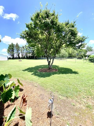 106 Chattin St, Winchester, TN 37398