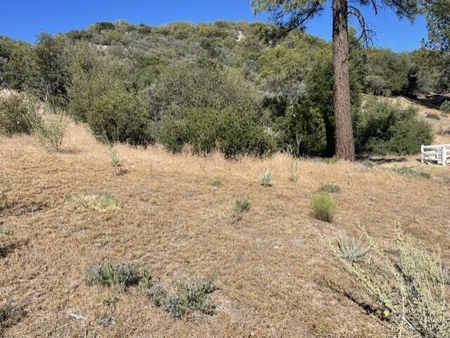Lot 27 Pipe Creek Road, Mountain Center, CA 92561