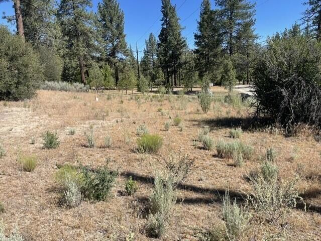 Lot 27 Pipe Creek Road, Mountain Center, CA 92561