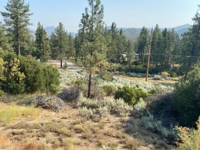 Lot 27 Pipe Creek Road, Mountain Center, CA 92561