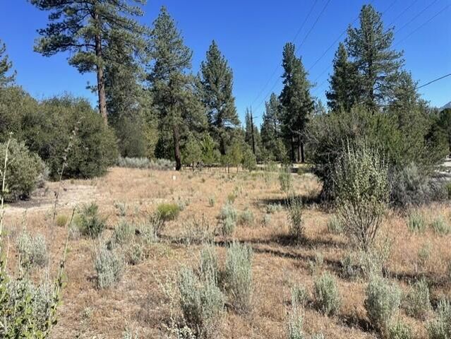 Lot 27 Pipe Creek Road, Mountain Center, CA 92561