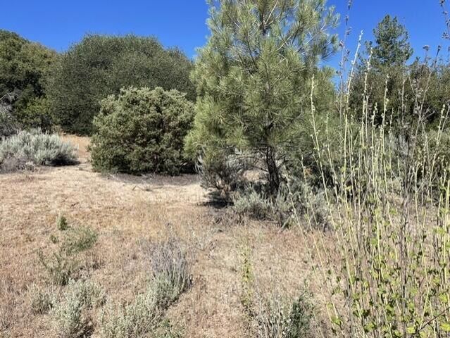 Lot 27 Pipe Creek Road, Mountain Center, CA 92561