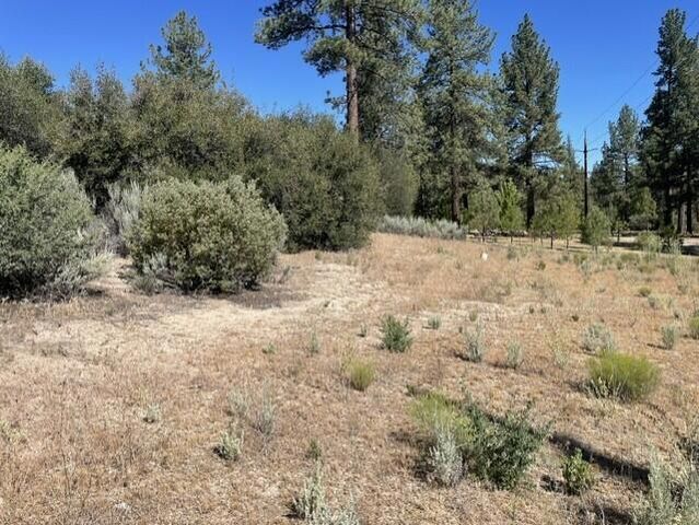 Lot 27 Pipe Creek Road, Mountain Center, CA 92561